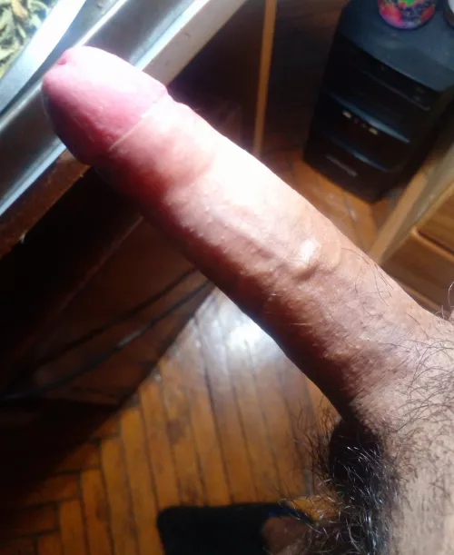 Here is my cock to make you company this saturday by wokwud