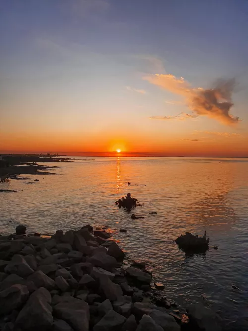 How happy it makes you to see this photo? 💘 by redbbunny