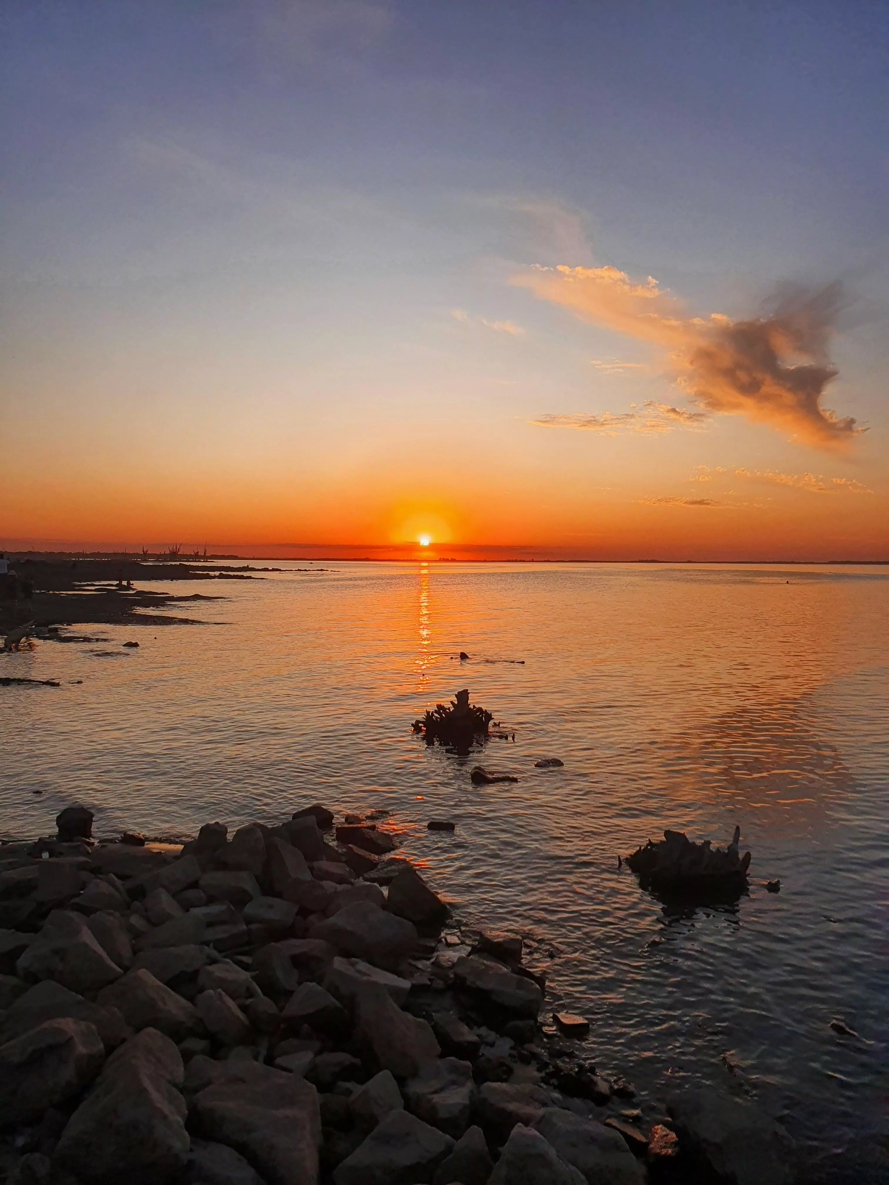 How happy it makes you to see this photo? 💘 posted by redbbunny