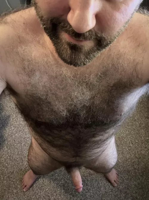 I hope you like a hairy dad bod [41] by Wonderful_Mango_9251