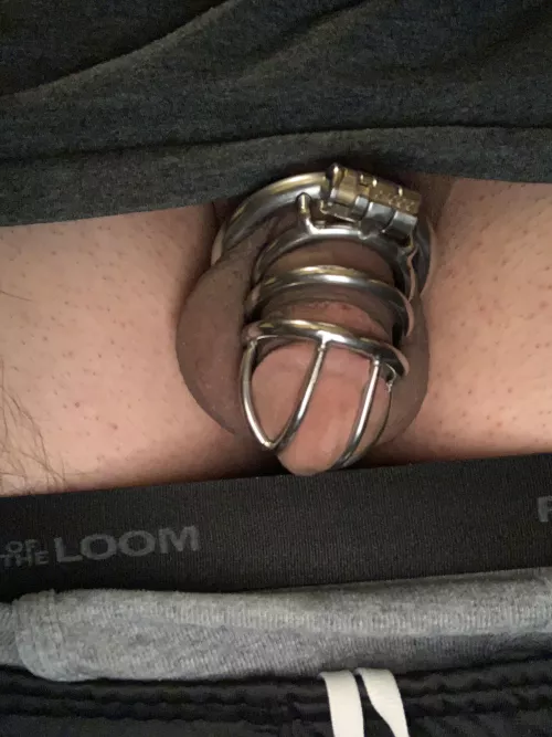 New to caging, my gf loves to tease me when I’m locked up because I’m learning a new side of myself by FeelingComfortable76