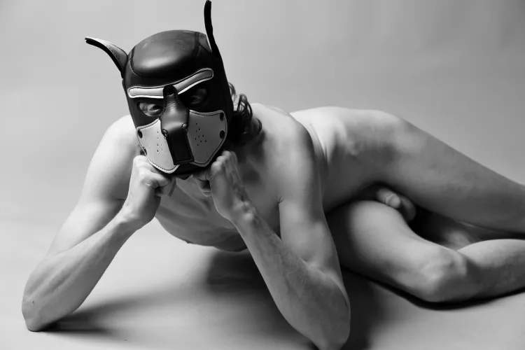 Puppy in deep thought 😊 by GodaPup