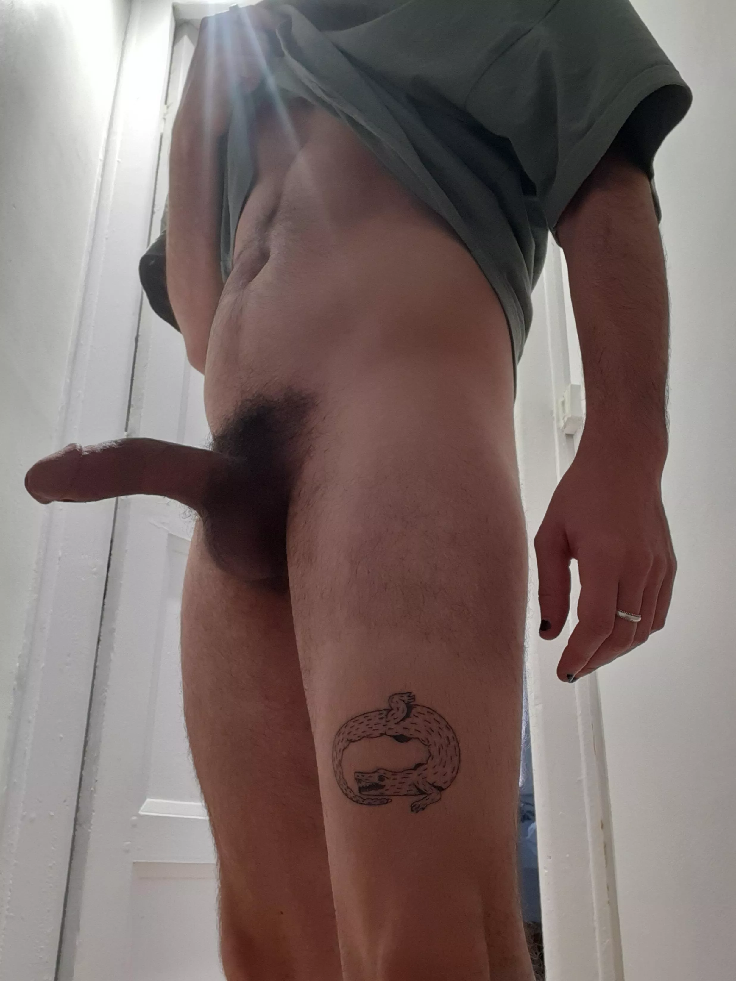 Showing off the newest one  posted by Mecsympa1