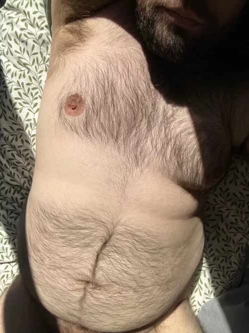 Sunbathing. Anyone want to join? 😉 by zazou_the_bear