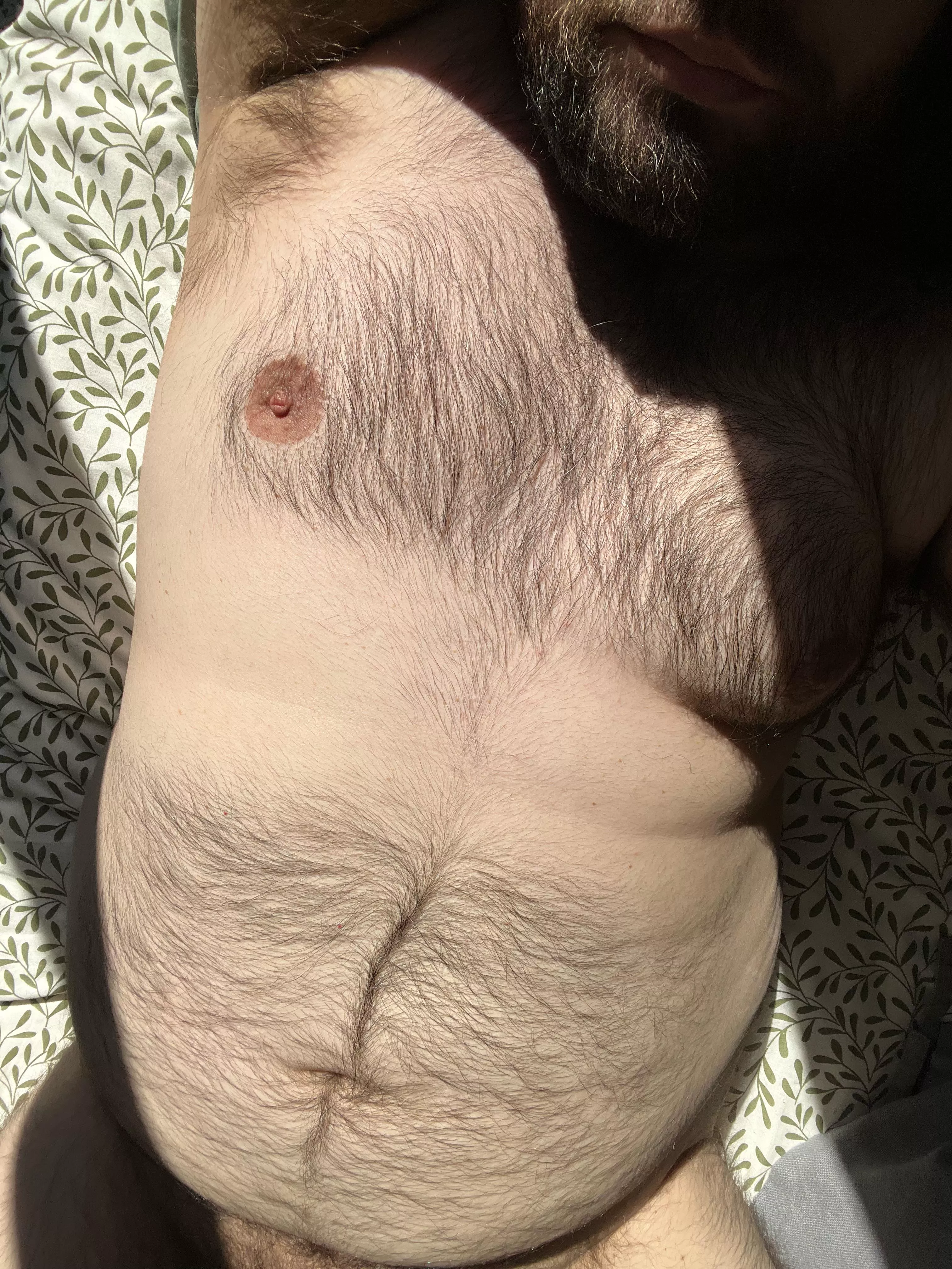 Sunbathing. Anyone want to join? 😉 posted by zazou_the_bear