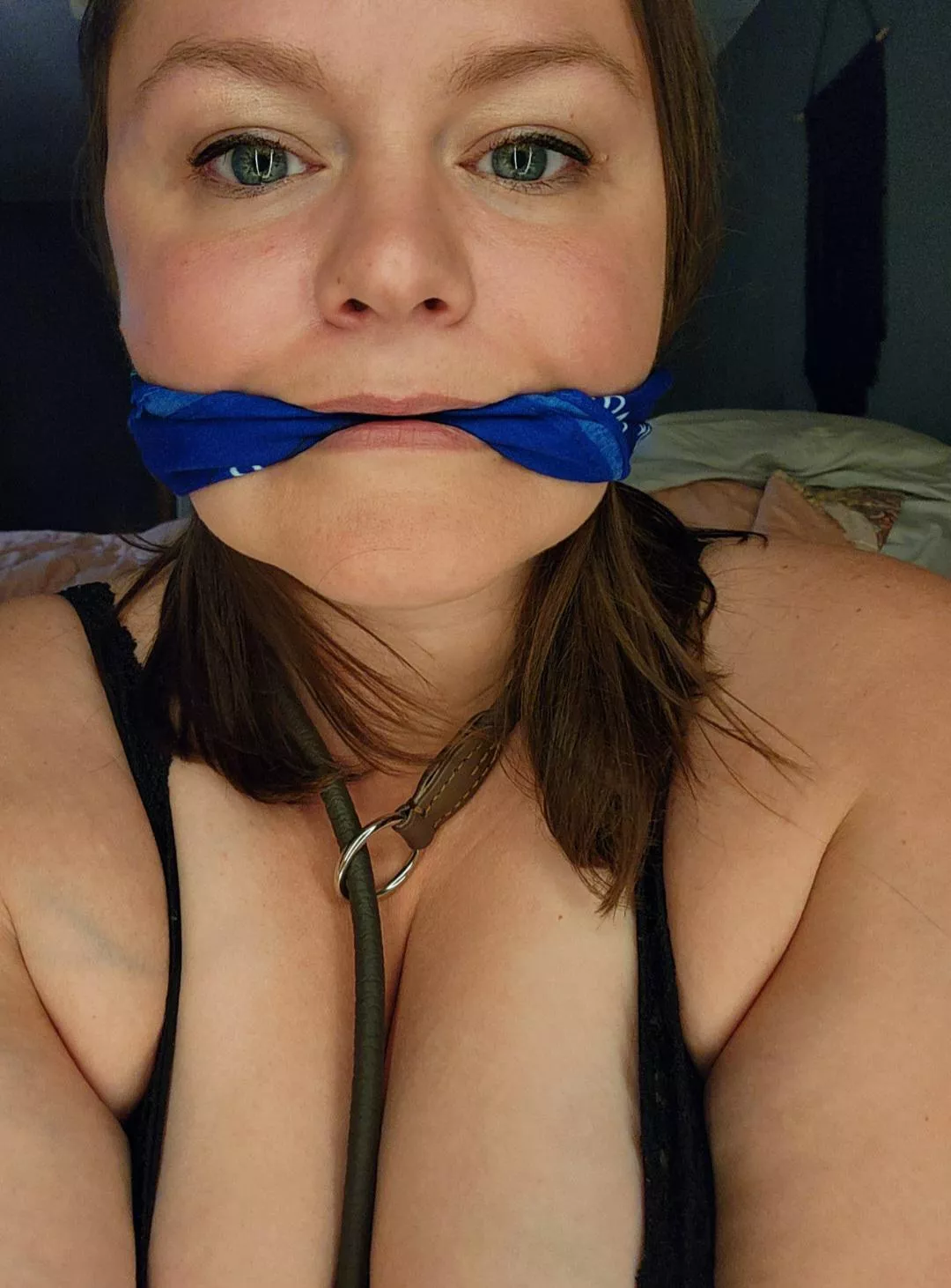 When he prefers his pet to stay quiet posted by FitToe2451