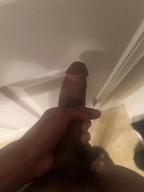 18 HARD ASFF RN SC: zanehez by CommissionFun5799