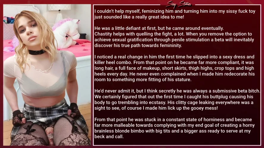 A great idea! by SissyStories01