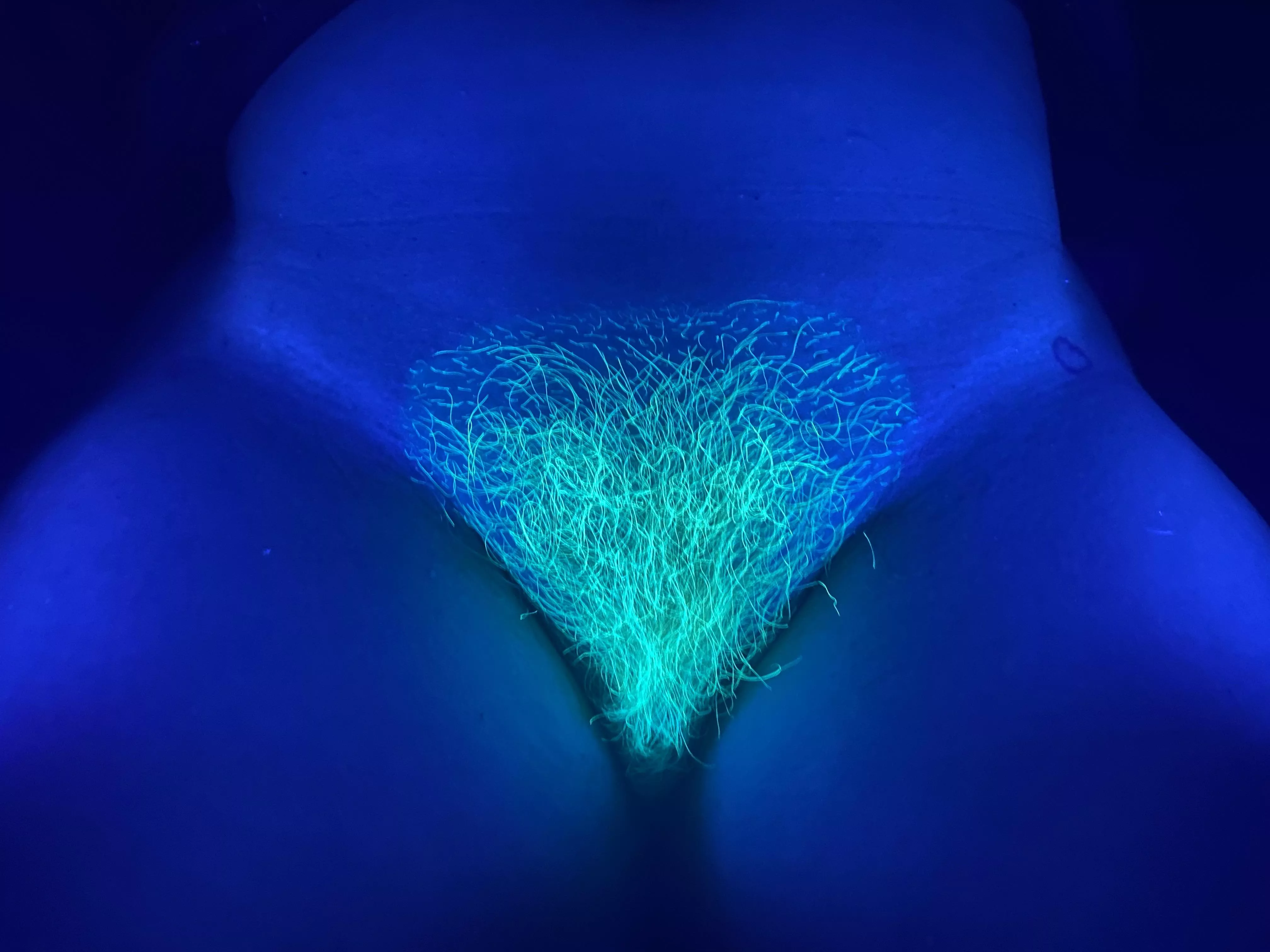 Black light alert, black light alert!  This is called a CAMELGLOW! Xoxo posted by RiverodiaBigButt