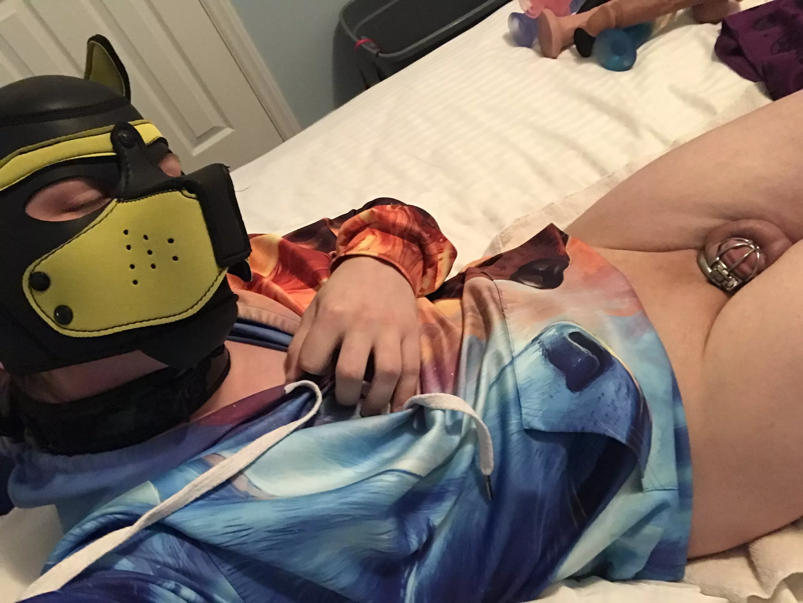 Caged Puppy posted by Potential_Will_1306