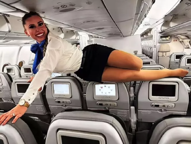 Canin shenanigans by IkarusAndTheSun