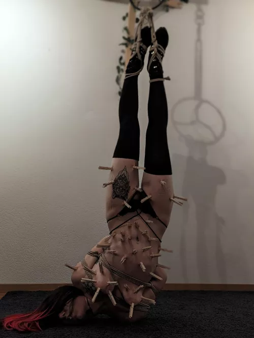 cenobite by semenawa