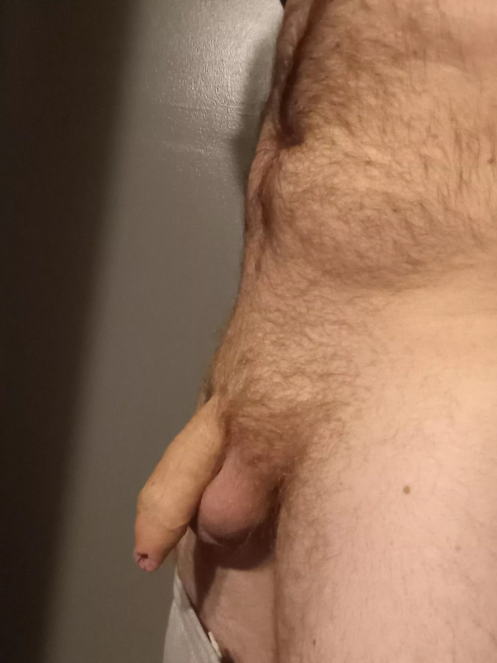 Easier to take pics when soft posted by cromulentfrankgrimes