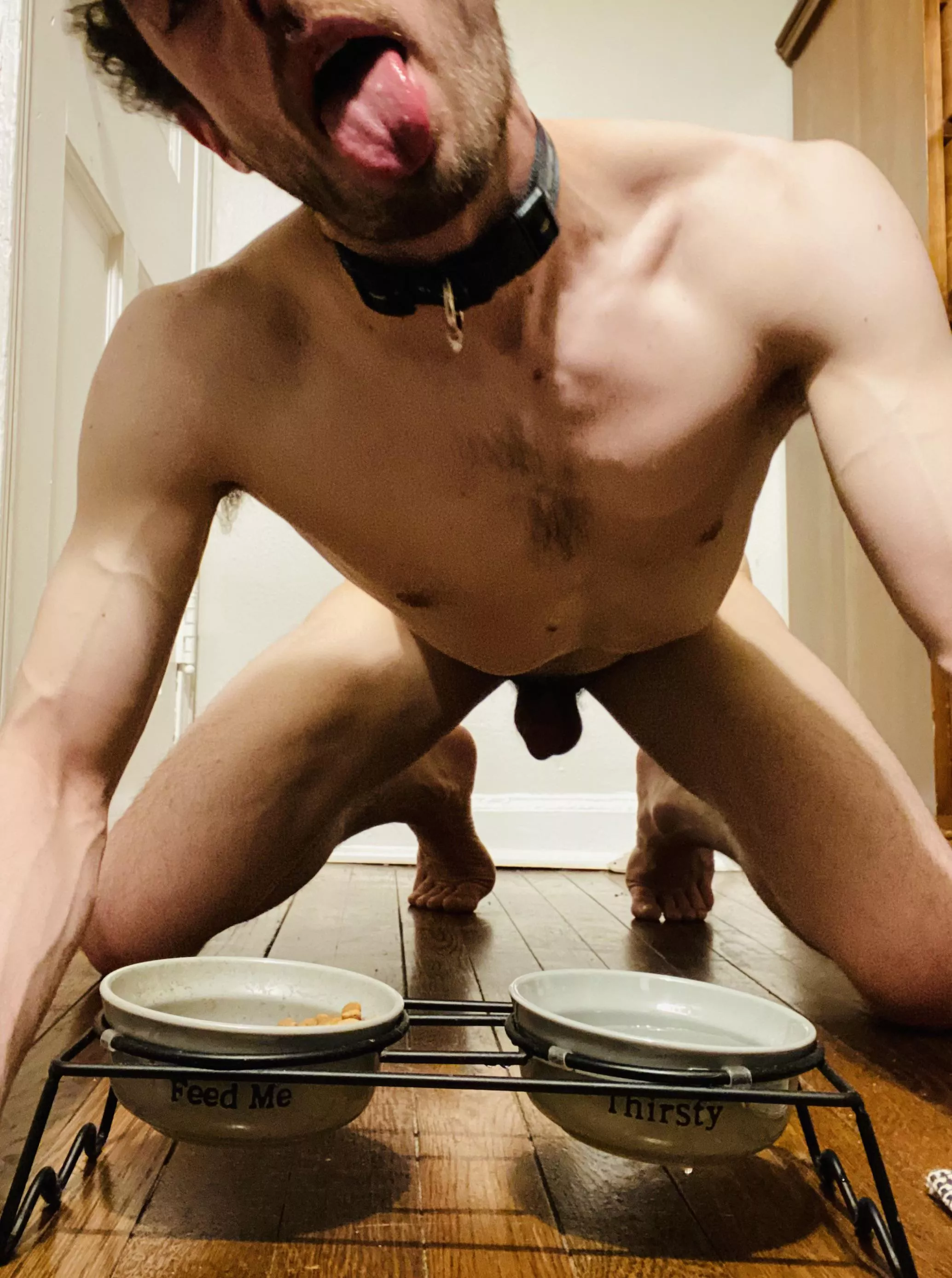 Feed me 😛 posted by Forsaken-Mousse-7310