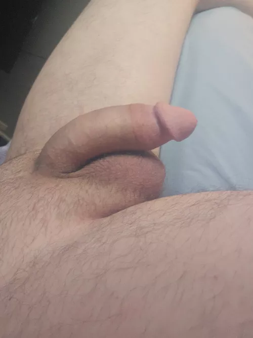 Fresh trim by LazCravensworth