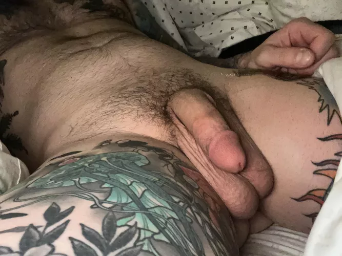 Good evening gentlemen by Sea_Bee_5732