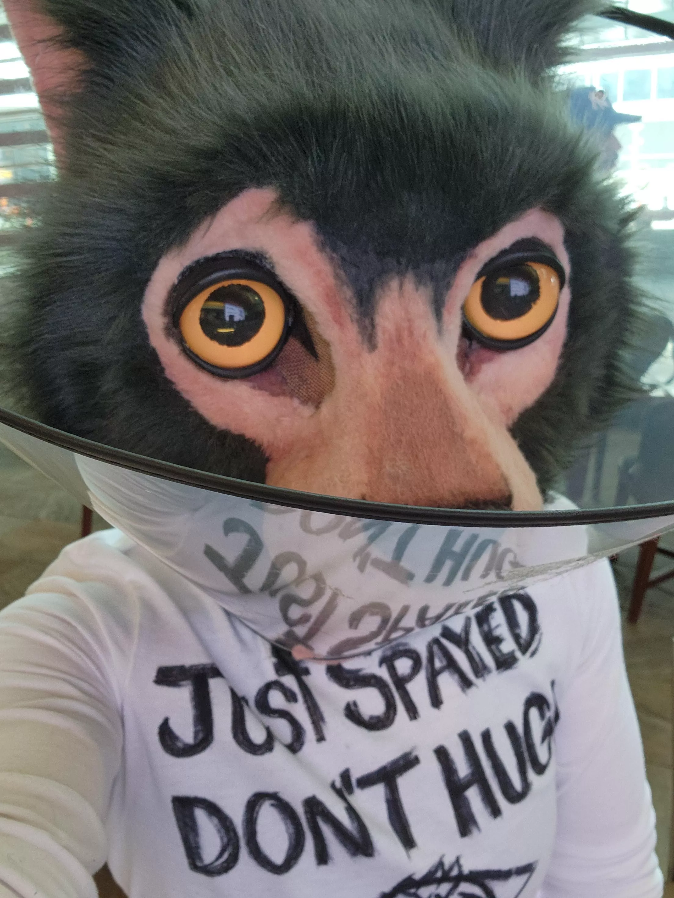 How I attended a furry con after my hysterectomy  posted by knot-a-dragon