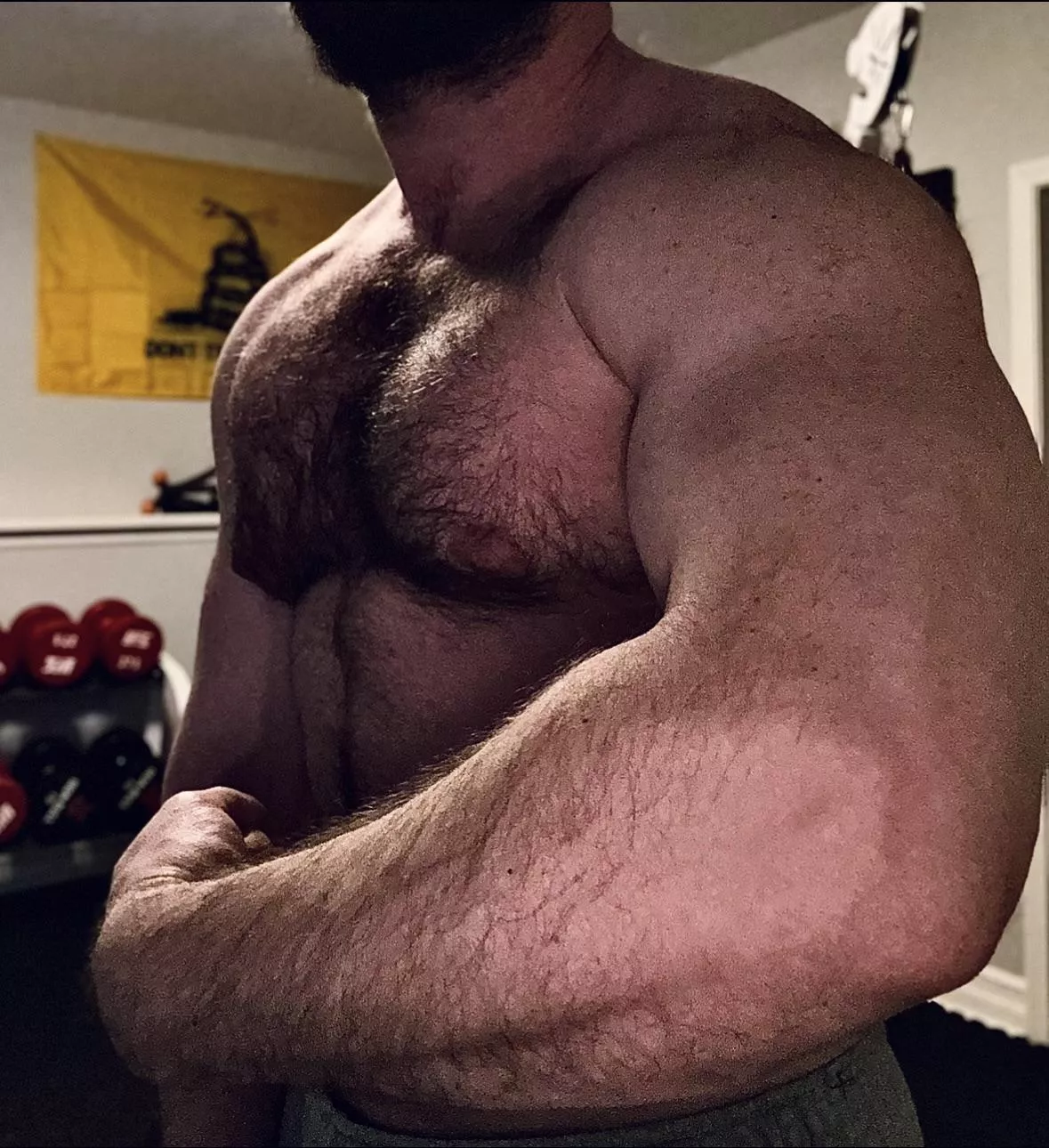 how many push-ups would you guess I could do in a row? posted by chepuey