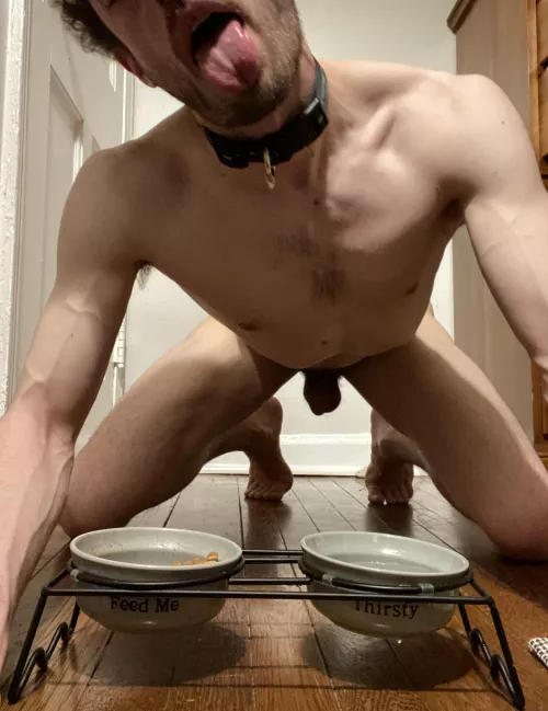 I do lots of tricks 😛 by Forsaken-Mousse-7310