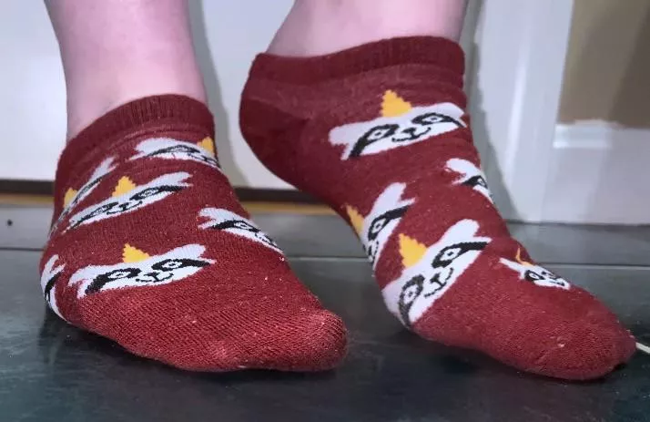 I wear these constantly! 🤍 posted by youfoundmyfootsies