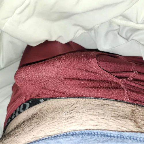 It's a very wood morning here. by TeddyWestCyanide