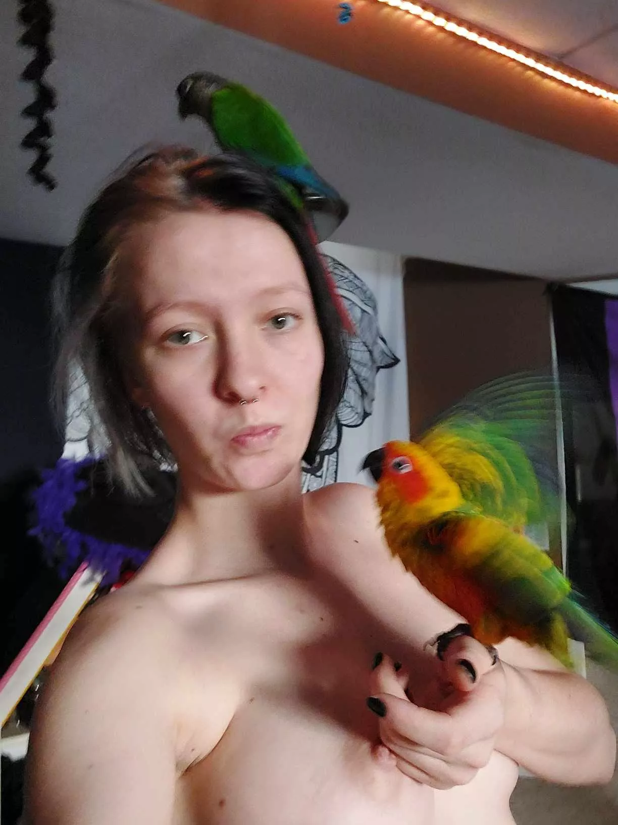 Look 3 birds posted by No_Interview_6489