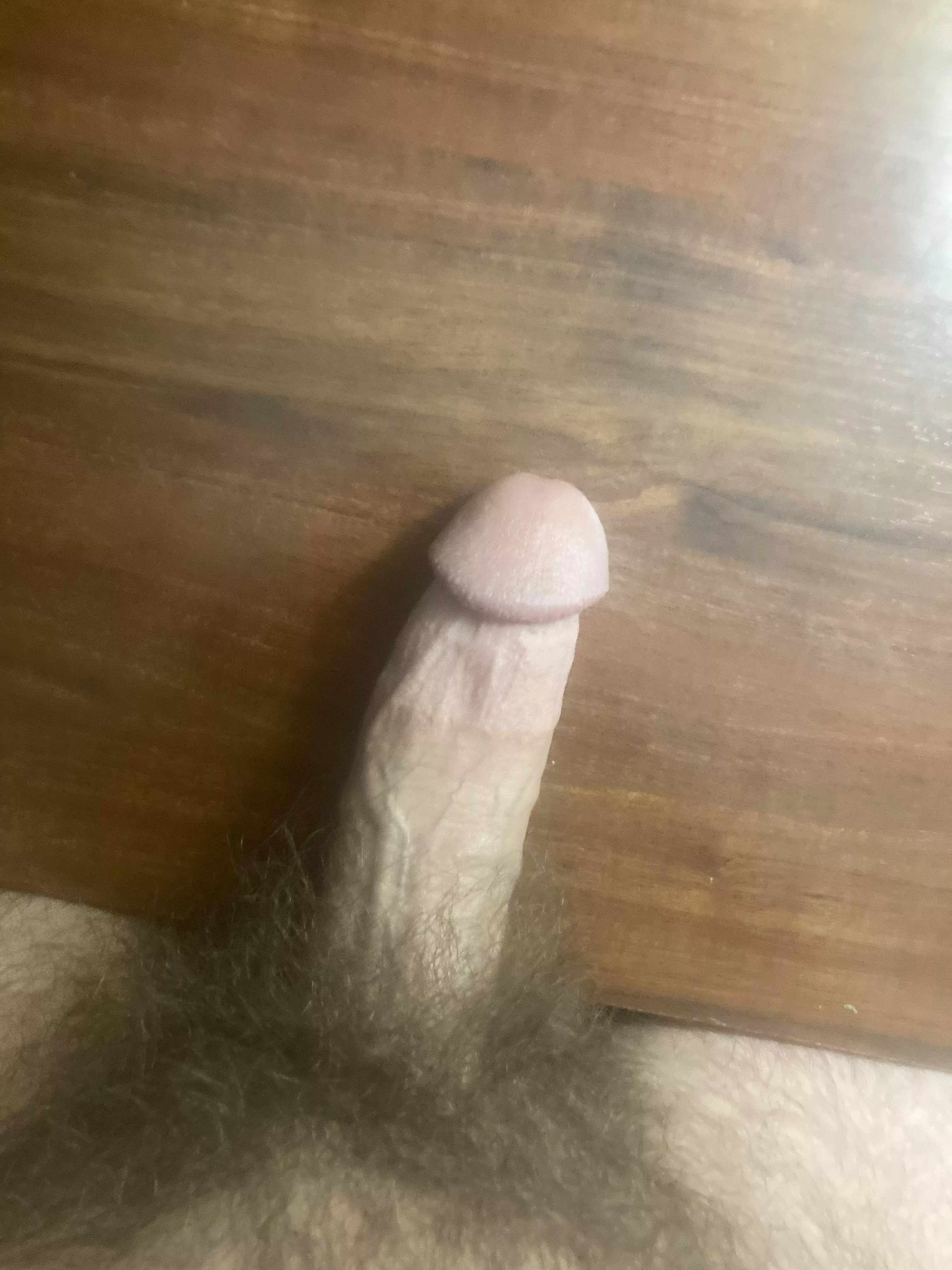 Never shaving posted by Big-Meaning-8434