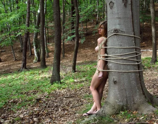 playing in the forest by Mundane-Employer-719