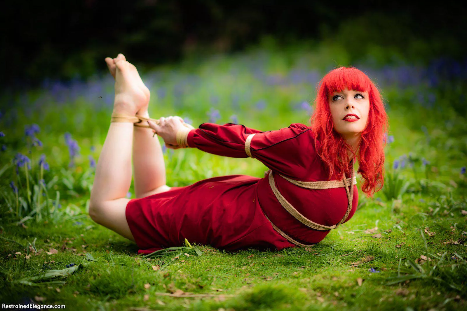 Red flowers and green leaves posted by allgmok