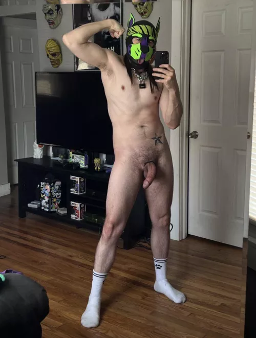 Sunday naked funday! by PupRetRow