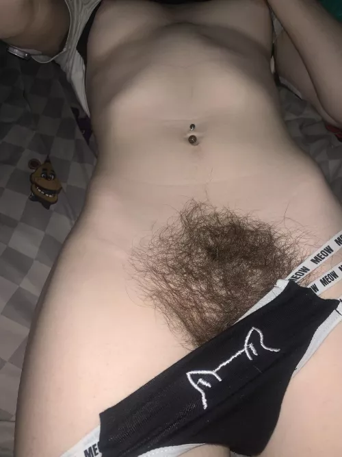 This kitty is long haired 🫣😋 by babyaliii