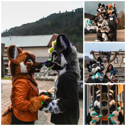 Tried my hand at furry photography for the first time at the meet. I'd like to think they came out okay-ish. by OnyxDesigns