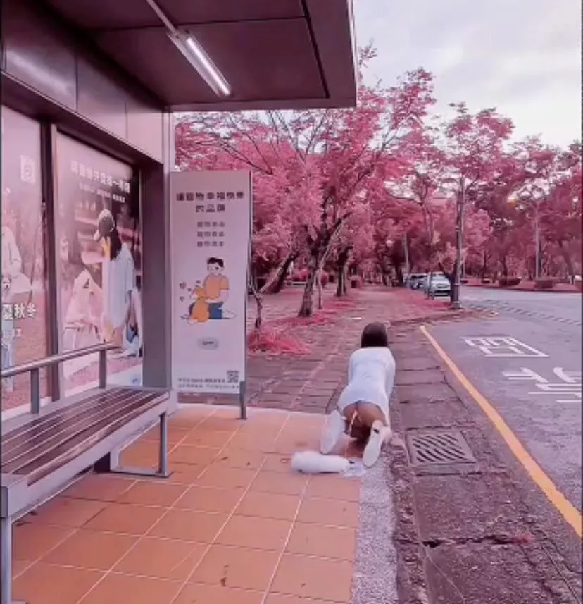 Where is this from? posted by RemQP