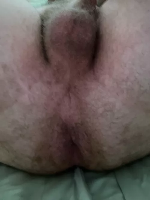 Wish I had a hairy man cock in my hairy man ass. DMs are open and encouraged. by Few-Researcher-6385