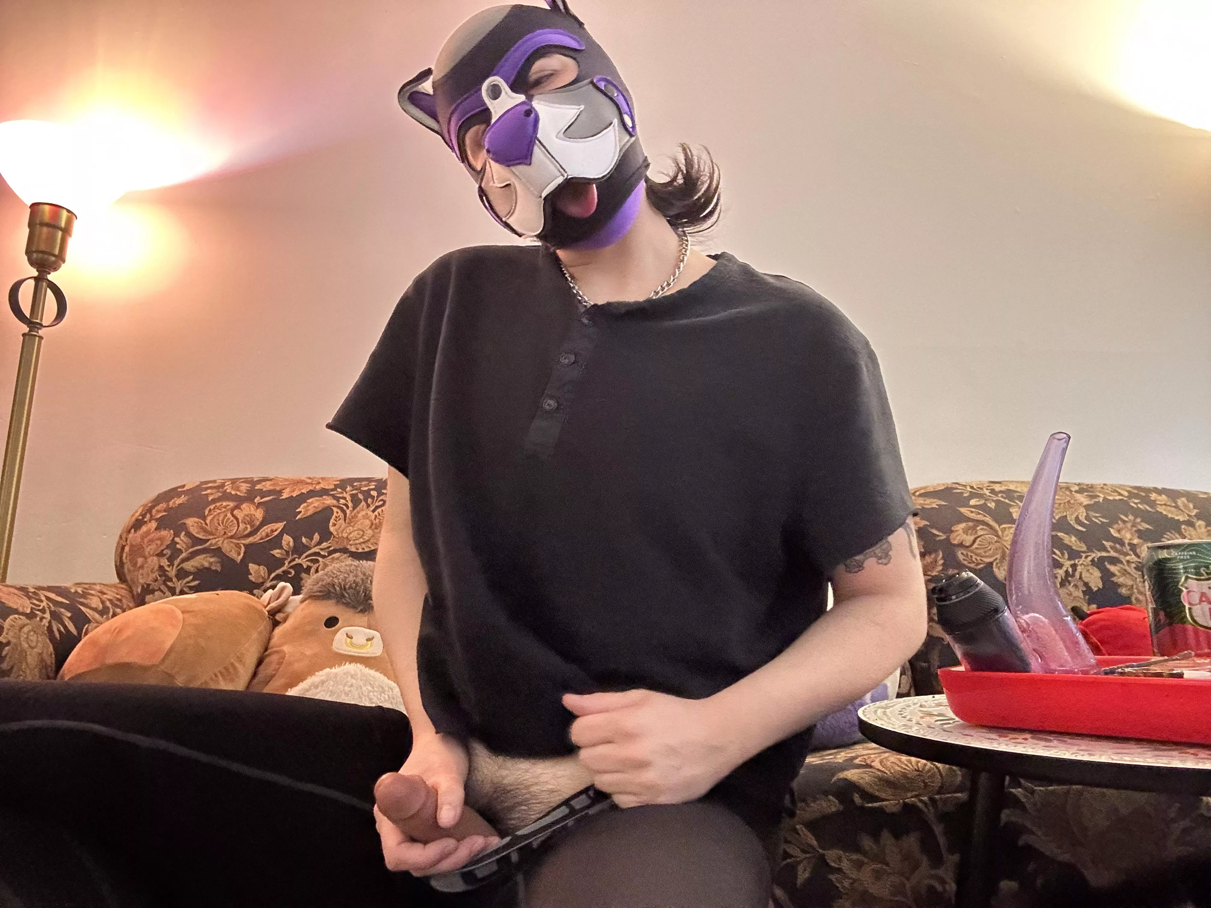 Would you help a puppy out?? posted by Tranzpuppy