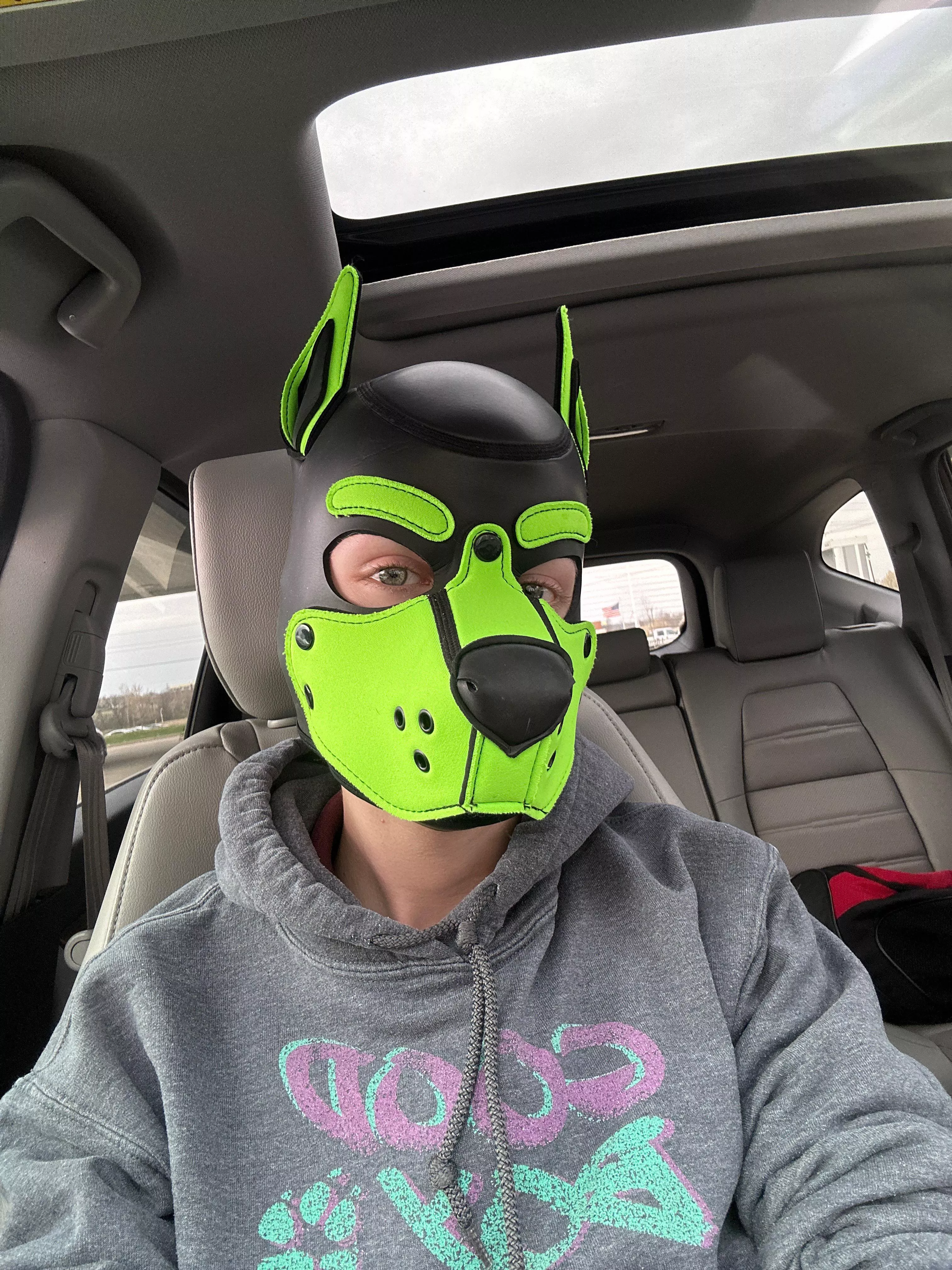 2 Years on Reddit! Celebrate with me? 🎉 🥳 posted by Pup-Atlas