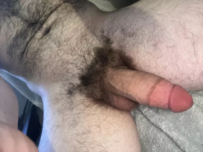 25 muscular and hairy stud with a fat cock looking for femboys and skinny twinks hmu chris_thatguy9 by justadude0077