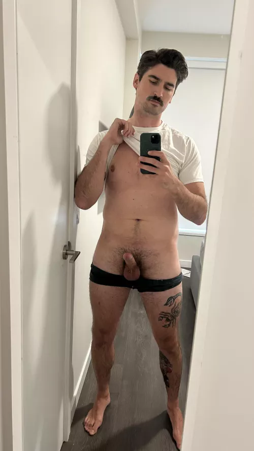 [33] Don’t by shy by Mysterious-Tax6408