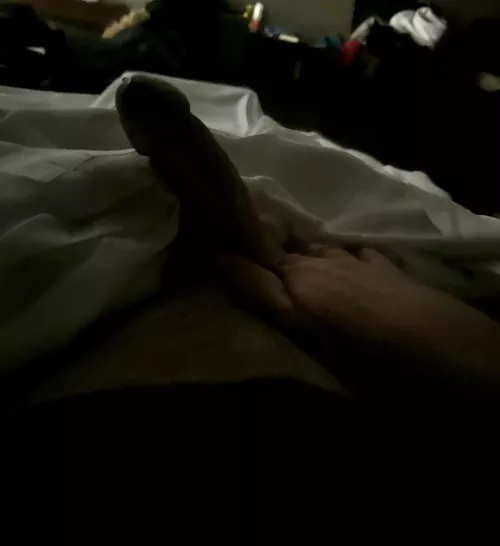 [60] morning wood at first light back lit… first drip by NorthAd5184