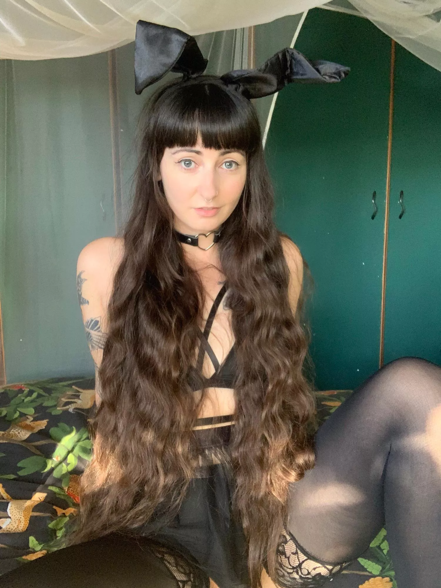 A bunny doesn’t need a leash, right? posted by Scarlet-is-here