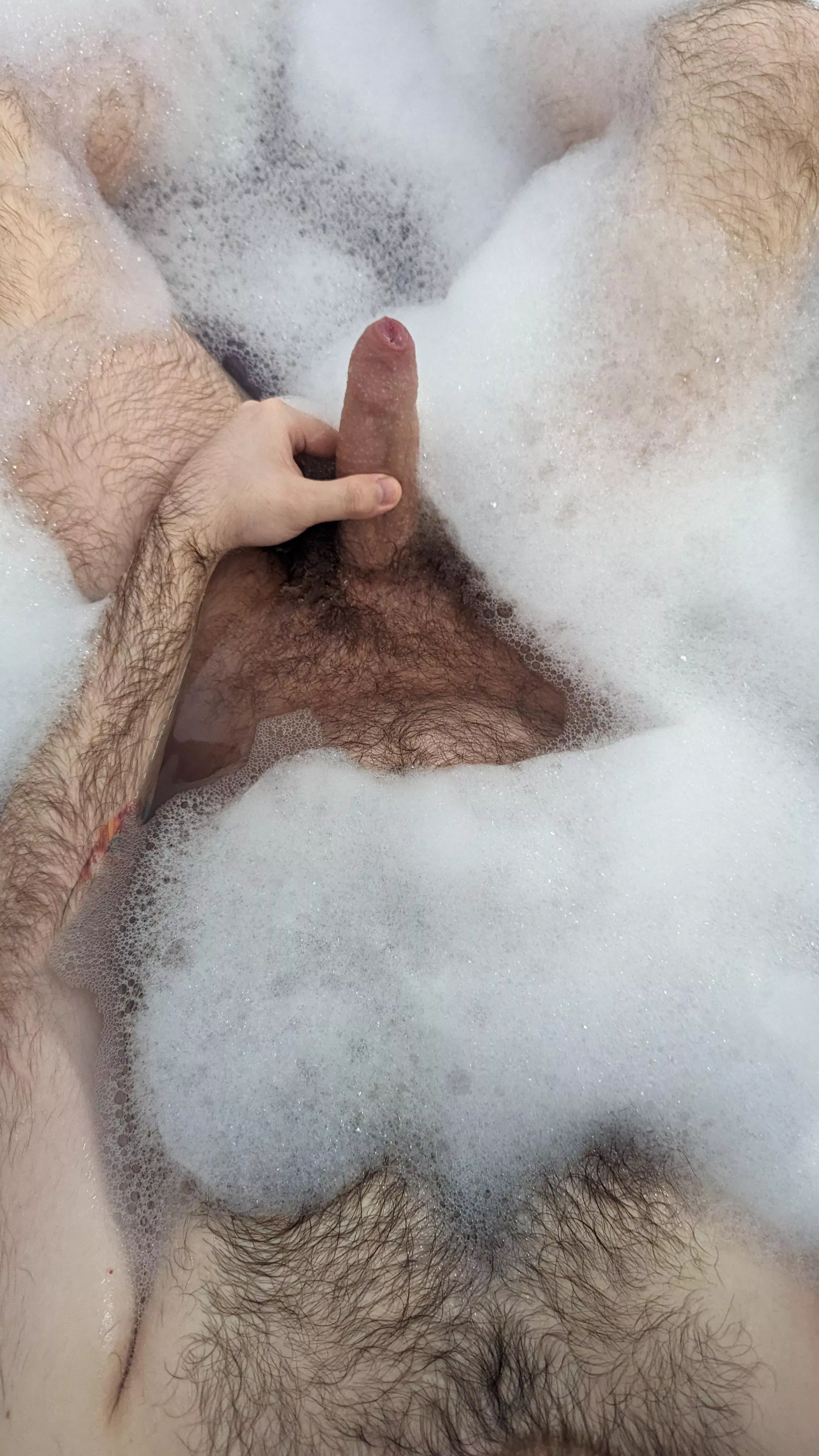 A fresh clean bush :D posted by Cook-Motor