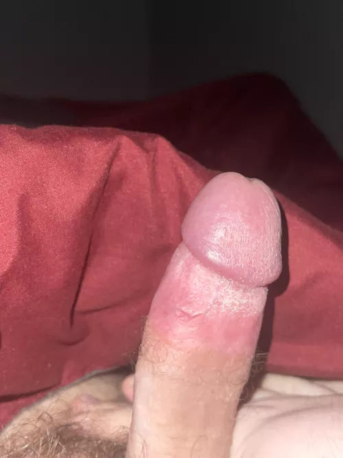 Anyone awake? by Basic_Ad_9658