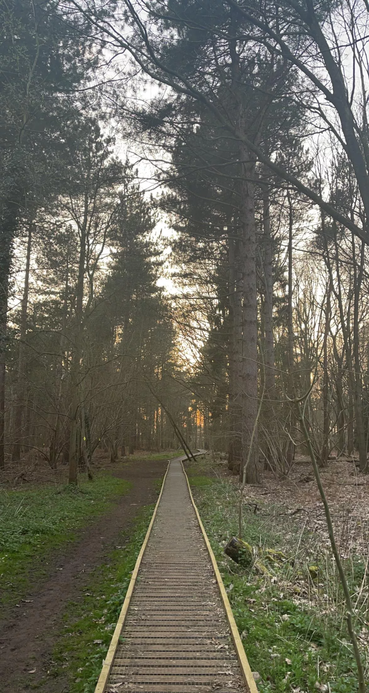 Calling all truckers posted by Informal_Ad7096