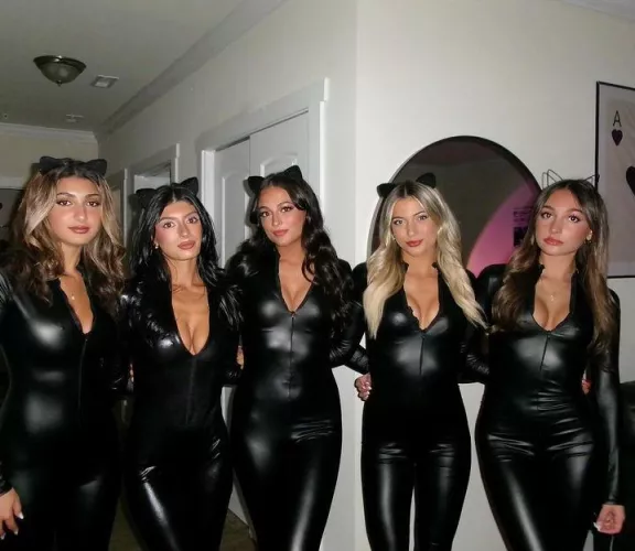 Cat Girls 🖤🐱 by Mox_Castagnoli