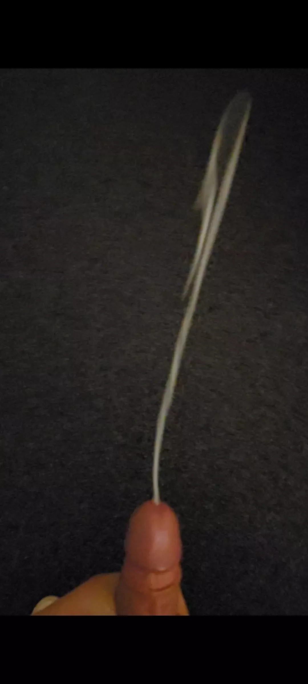 Cumshot  posted by notthatbad88