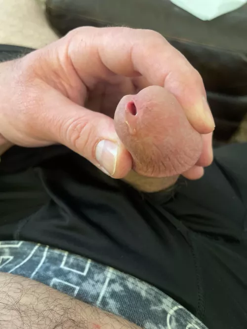 Dripping.  by Highlife04