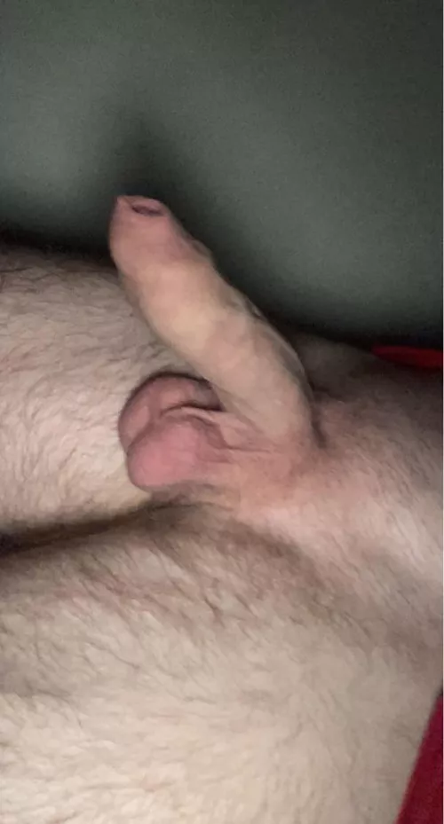 Elephant trunk 🤪 by BigUnzy