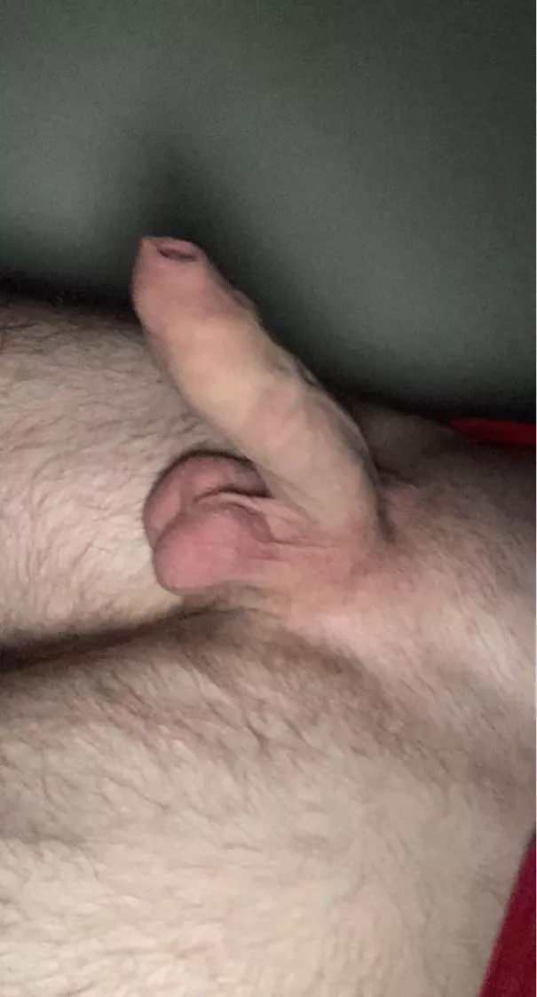 Elephant trunk 🤪 posted by BigUnzy