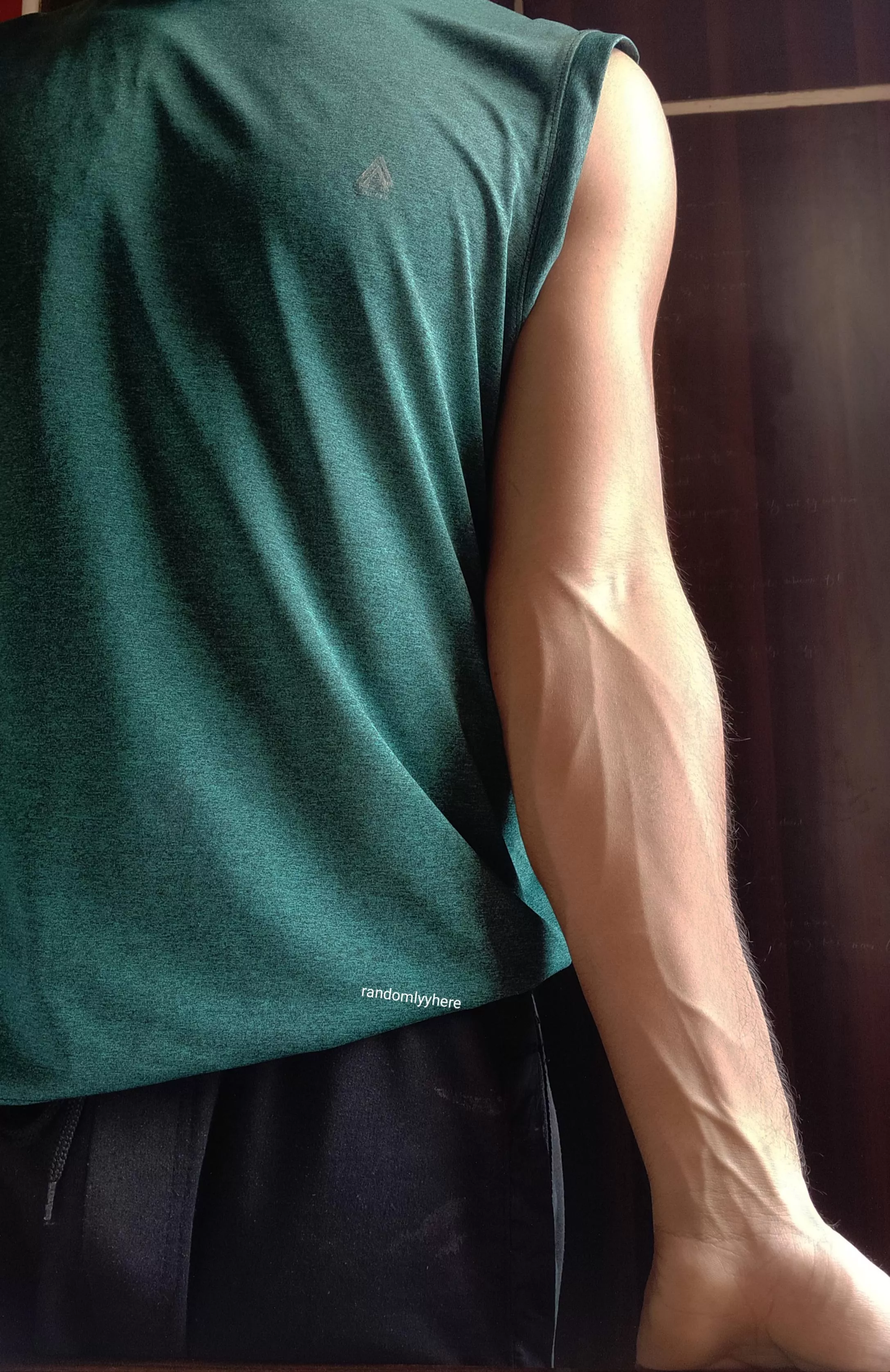 Golden hour ;) posted by randomlyyhere