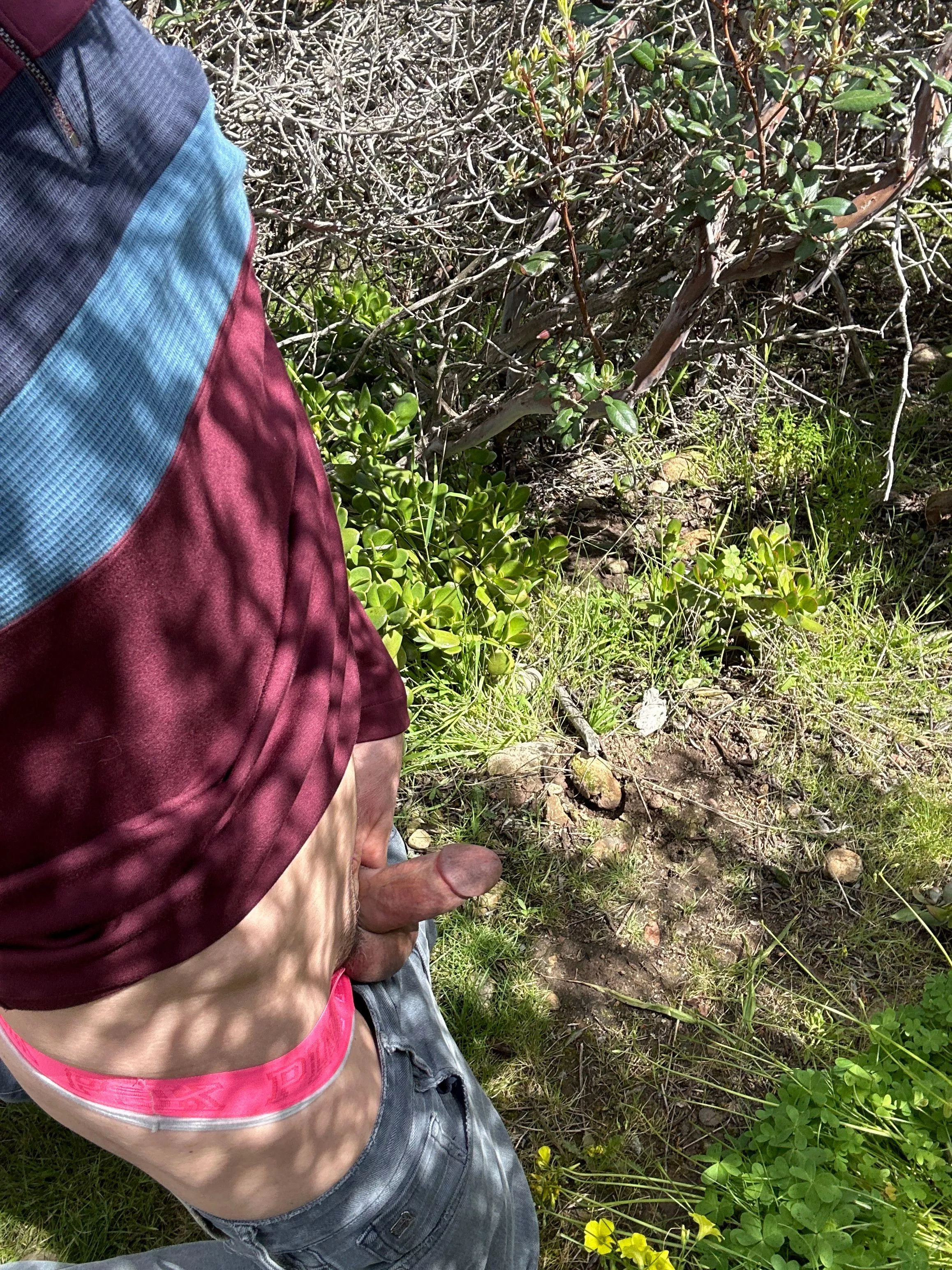 Got horny in the park. There was a couple walking their dog close by 😬 posted by Runbikeswimsd